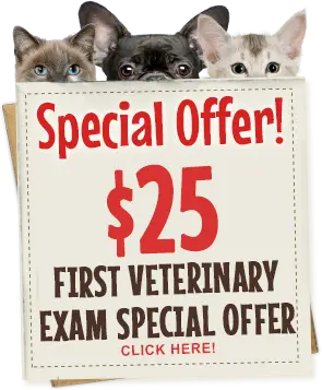 Guarantee your $25 exam for your pet’s First Veterinary Visit - Click Here