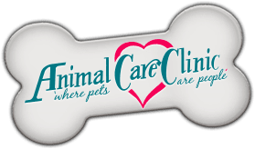 Vet Clinic in Lexington & Fayette County, KY | Animal Hospital