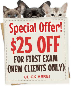 Special Offer! $25 OFF for First Exam (NEW CLIENTS ONLY) - Click Here